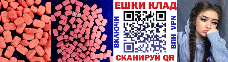 Ecstasy Philipp Plein  Купить  Высоковск 