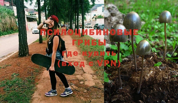 прущий лед Белоозёрский