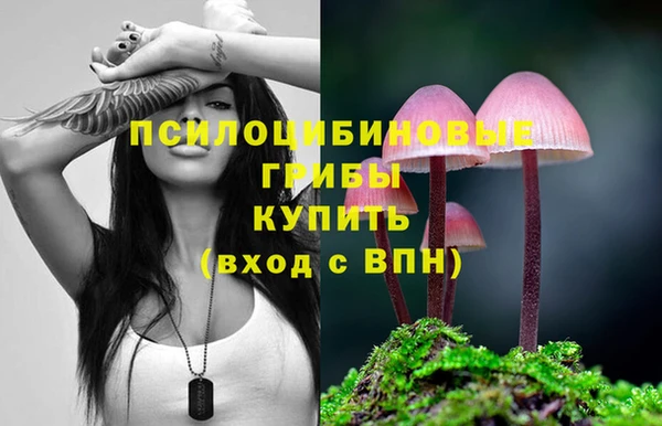 прущий лед Белоозёрский